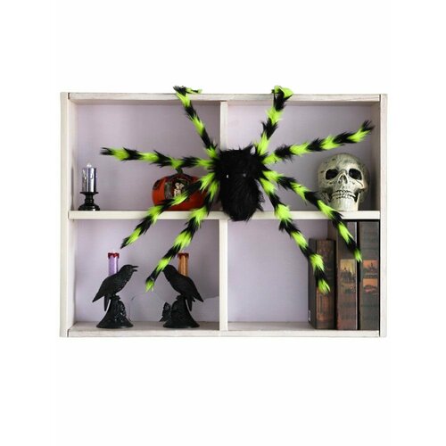 ���� ���������� �������� ���� 75 �� �������� �������, ������ �� 1080 ���