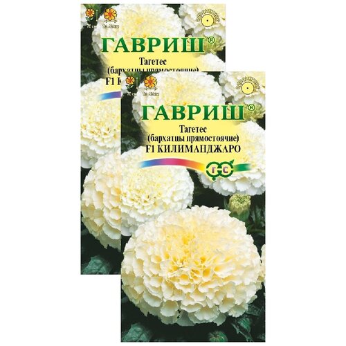 ���� �������� ������������ F1 (0,05 �), 2 ������, ������ �� 249 ���