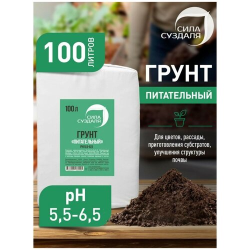 ���� ���� 