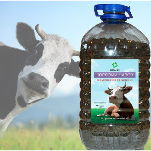 ���� ����� ������� ����� � �������� � ���������� � �������������� �������, 5�., ������ �� 650 ���