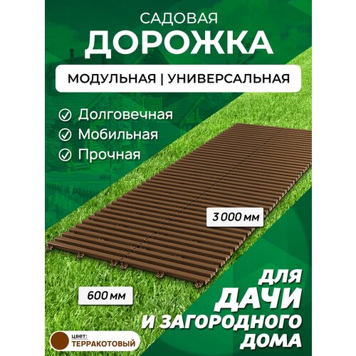 ���� ������� ������� 3 � ������ 60 ��, ����: ���������, ������ �� 4437 ���