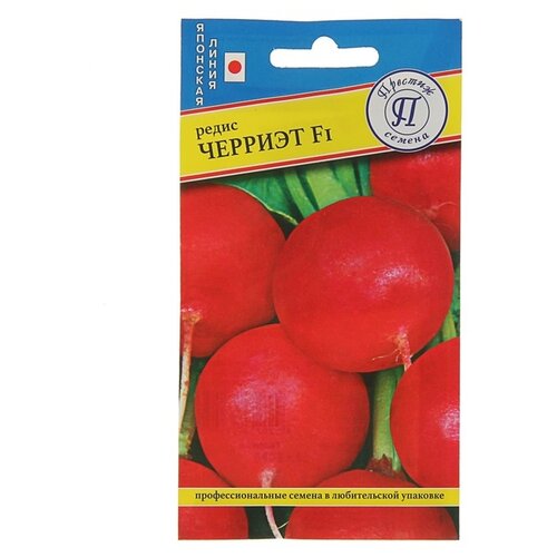 ���� ������ ����� ������� F1 1� ������ (�������), ������ �� 83 ���