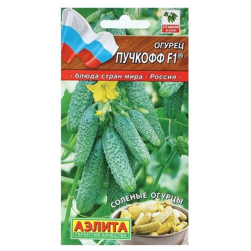 ���� ������ ������ 