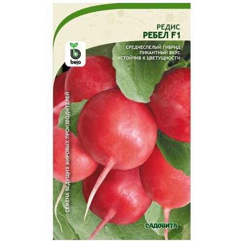 ���� ������ ����� ����� F1 1�� �������� (3 ������), ������ �� 259 ���