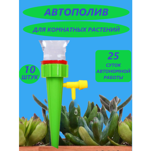 ���� ������� ��������� ����� ��� ��������� �������� � ������, ������ �� 427 ���