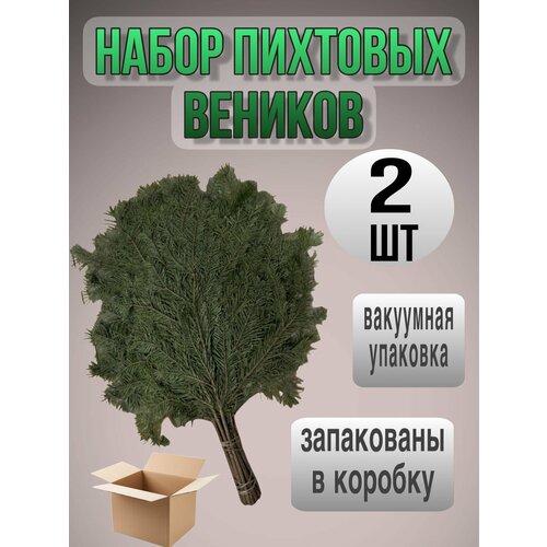 ���� ����� �������� ������� 2 �����, ������ �� 1000 ���