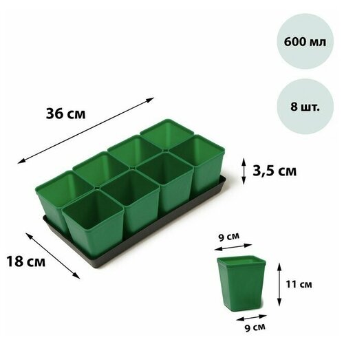 ���� ����� ��� �������: ������� �� 600 �� (8 ��.), ������, ���� ����, Greengo, ������ �� 630 ���