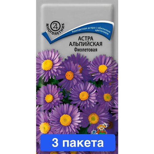 ���� ������ ������ ����� 