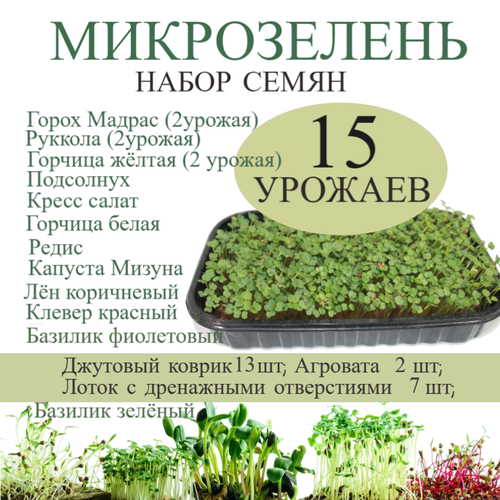 ���� ����� ��� ����������� ����������� 