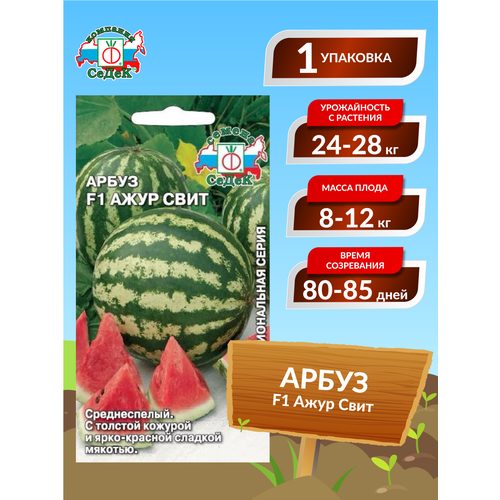 ���� ������ ����� ���� ���� F1 ������������ 0,5 ��., ������ �� 66 ���