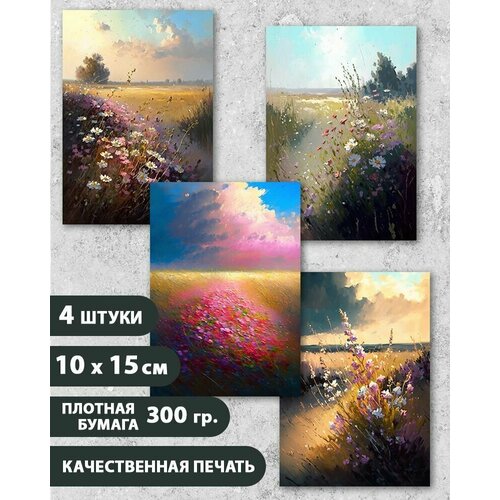 ���� ����� �������� 