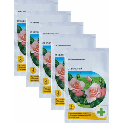 ���� �������� �� �������� ��� � ������ ��������� �������, 5 ����� �� 2 ��. ����������� �������� ��� ������ � ������������� ��������� ����, ����� ����� � ������ �����������, ������ �� 967 ���