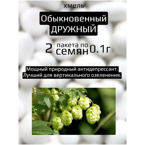 ���� ����� ������������ ������� 2 ������ �� 0,1� �����, ������ �� 299 ���