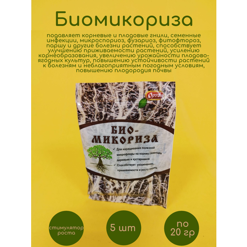 ���� ����������� 5 �� �� 20 ��, ������ �� 669 ���