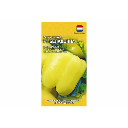 ���� ������. ����� 