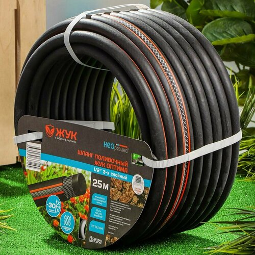 ���� ����� ���������� ��� ������ 1/2