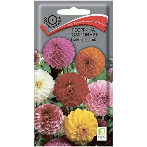 ���� ������ ������ ����� �������� ���������, ����� �������, 0,3 �, ������ �� 55 ���