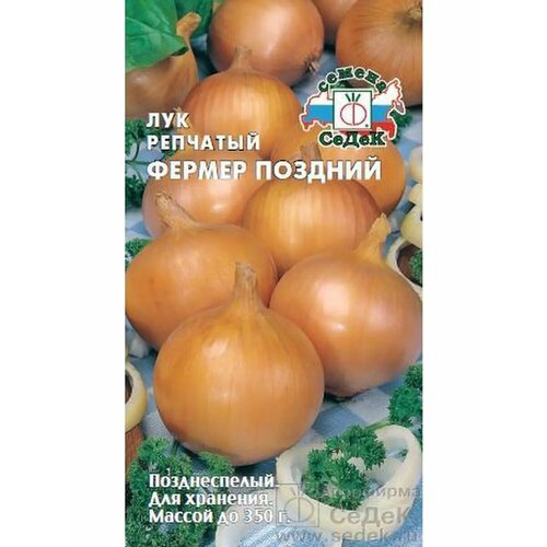 ���� ��� �������� 