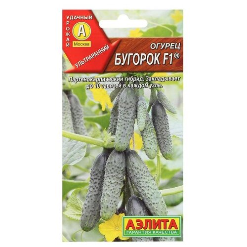 ���� ������ ��������� ������ ������ ������� F1, 10 ��, ������ �� 73 ���