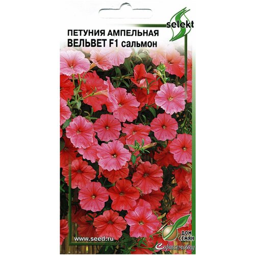 ���� ������� ��������� F1 ������� �������, 10 �����, ������ �� 372 ���