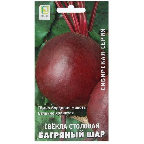 ���� ������ ������ �������� 