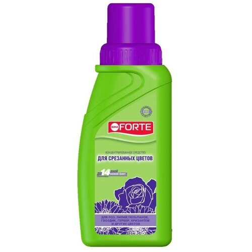 ���� �������� ��� ��������� ������ � �������, ��������� ����� Bona Forte, 285 ��, ������ �� 567 ���