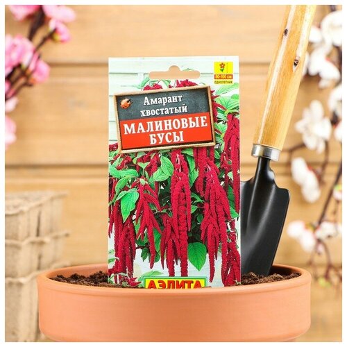 ���� ������ ������ ������� 