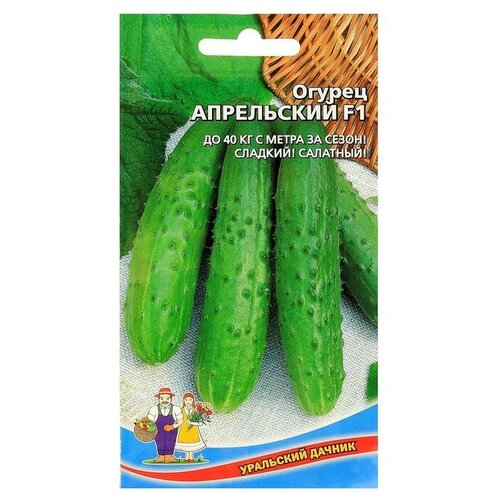 ���� ������ ������ ���������� F1, �����������, ������������������, 10��, ������ �� 64 ���