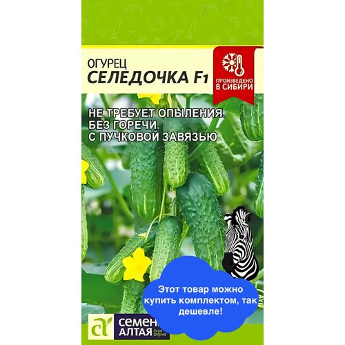 ���� ������ ������ ������ ����� 