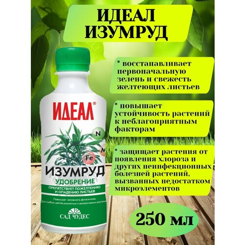 ���� ��������� ������ ����� ������� �� ����������, 250 ��, ������ �� 187 ���