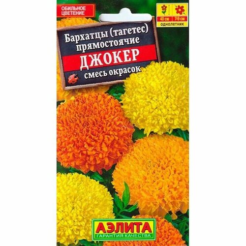 ���� ������ �������� ������, ����� ���. (����������) (������) 0,1�, ������ �� 45 ���