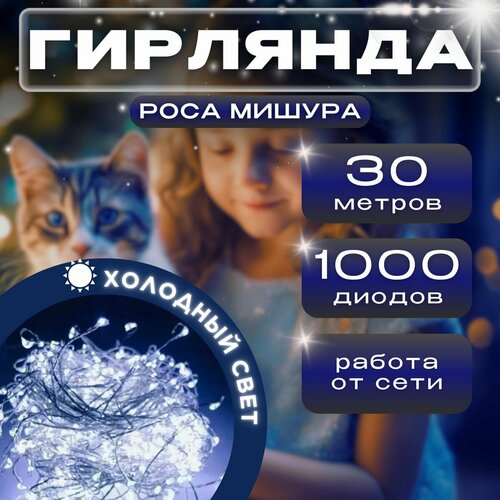 ���� ������������ �������� 