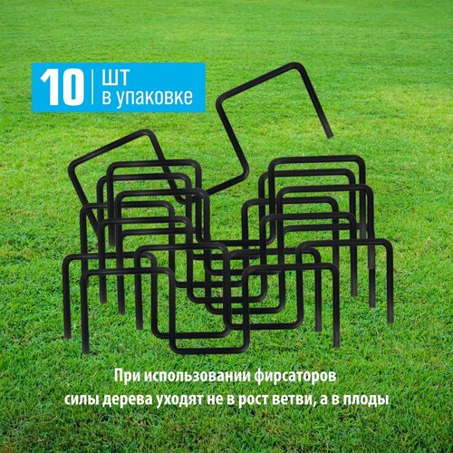 ���� ����� ��� �������� ����� �������� (10��), ������ �� 850 ���