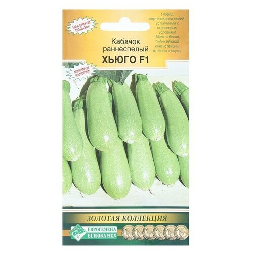 ���� ������ ������� ����������� ����� F1, 3 ��, ������ �� 345 ���