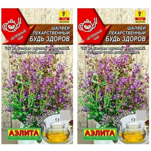 ���� ������. ������ ������������� 