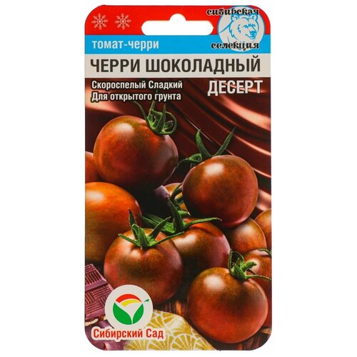 ���� ������ �����-����� 