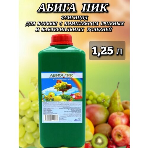 ���� �������� ������ ������������� � ������� �������� � �������� ����� ��� 1,25�, ������ �� 1648 ���