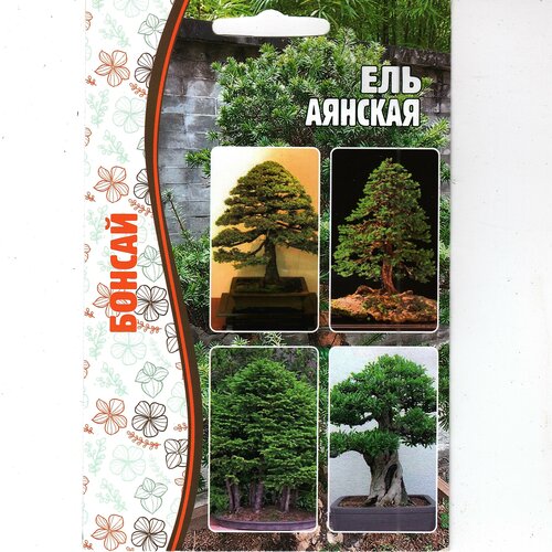  ,  ,   ( 1 : 10  ),   279 