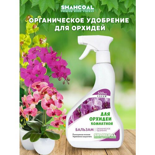 ���� ������� ��������� ��� ������� � ��������� �������� �� ������ ���������� ������, ������ �� 390 ���