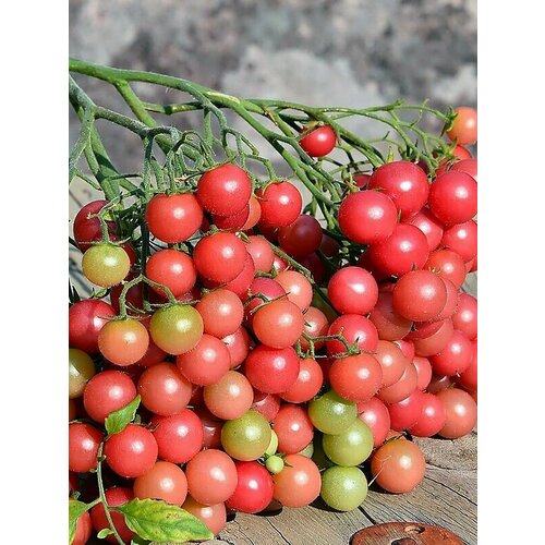 ���� ������������� ������ ������ ������� ����� �����������, ������ �� 122 ���