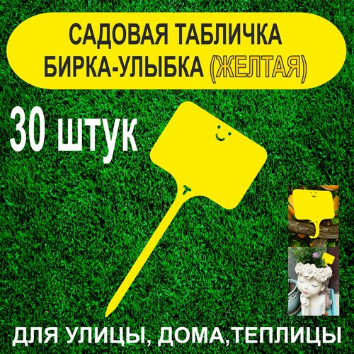 ���� ������� ����� - ������. �������� ��� ��������. 30 ���� (������), ������ �� 300 ���