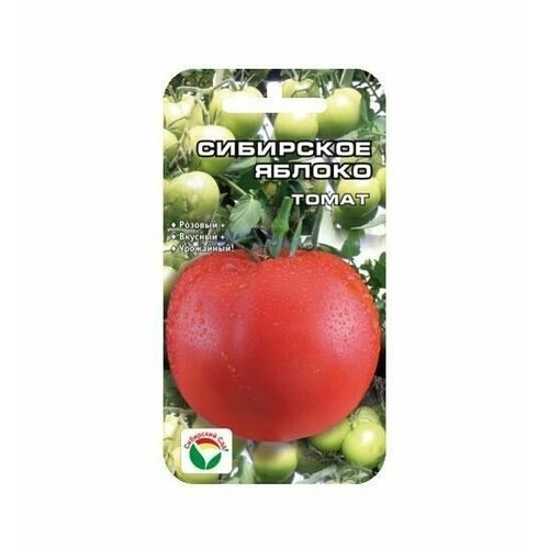 ���� ��������� ������ 20�� ����� (��� ���), ������ �� 44 ���