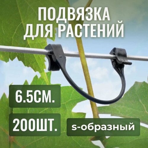 ���� ������ ��� �������� �������� s-��������, 6.5��, 200��, ������ �� 293 ���