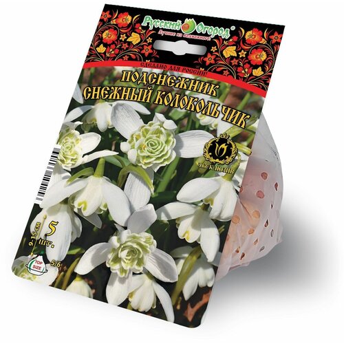 ���� ���������� �������� ������� ����������� 5 ������� 5/+, ������ �� 1259 ���