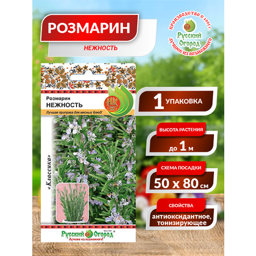 ���� ������. �������� 