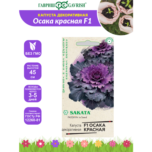 ���� ������ ������� ������������ ����� ������� F1 ������ - ����� ��������� 7 ��., ������ �� 259 ���