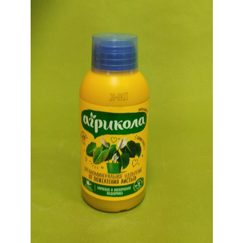 ���� �������� ���� �� ���������� ������� 250 ��, ������ �� 610 ���