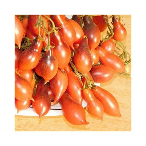 ���� ������������� ������ ������ ������ 14 �������� � ������� ������� ����, ������ �� 101 ���