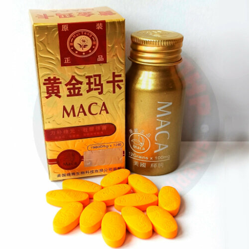    MACA,    ,  ,   (12 ),   990 