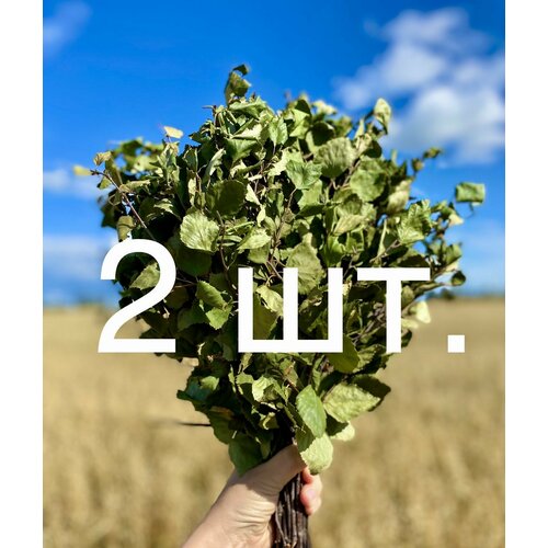      2 . ( 2024, ),   1100 